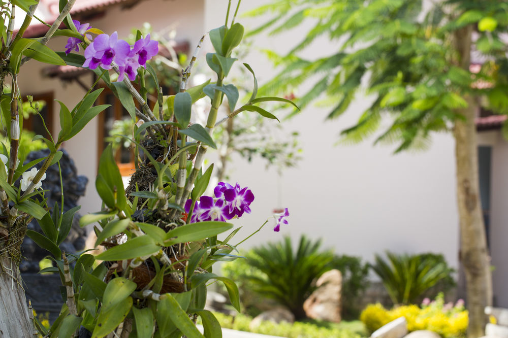 דואונג דונג Diadem Resort מראה חיצוני תמונה